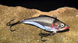 Pic: Mick Fletoridis